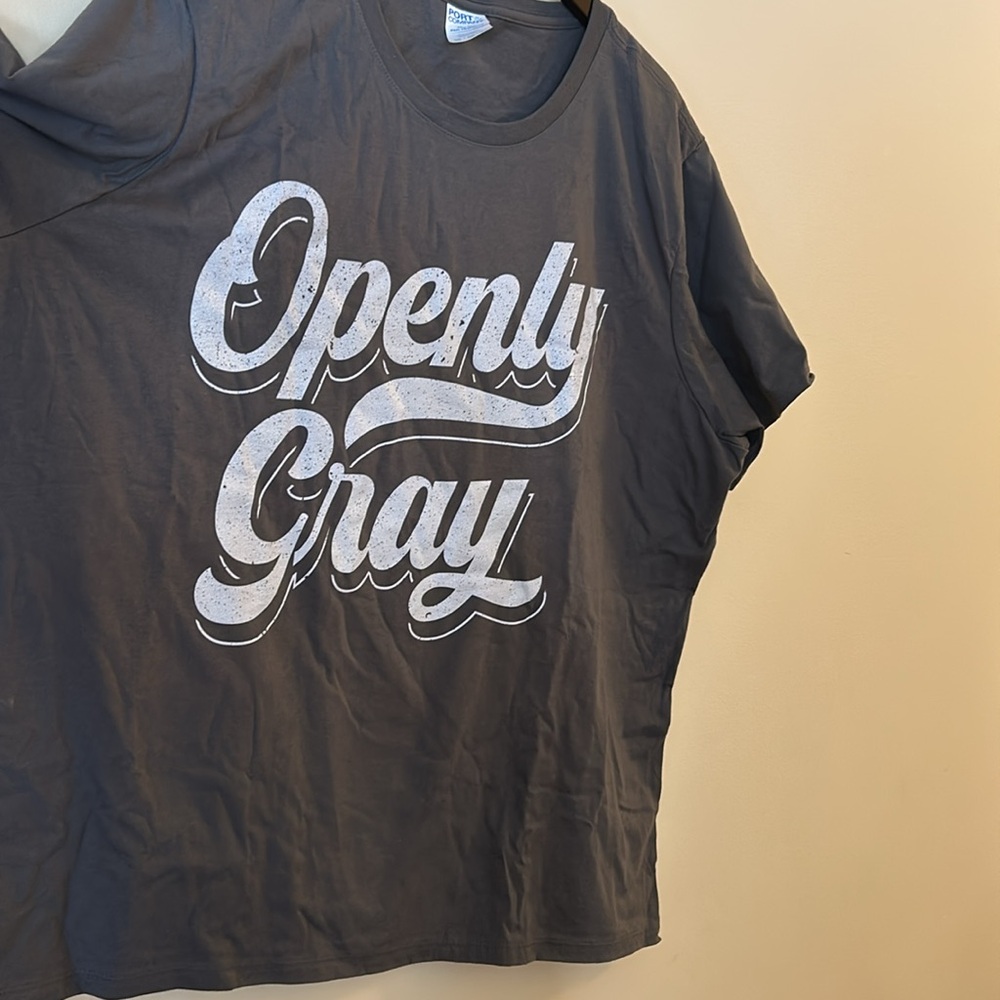 Openly GRAY 🩶 T-Shirt Natural Grey Silver Hair Gray Hair Fan 3XL Grey 🩶 Unisex 🩶 - Picture 3 of 8